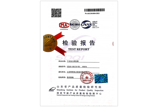 SCB18-160/10-NX1ʽ׃